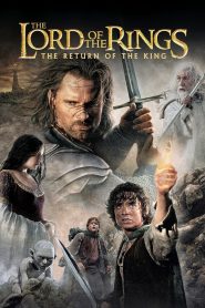 The Lord of the Rings: The Return of the King [EXTENDED]
